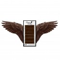 Brown Feather